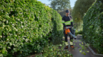 HUSQVARNA 530iB Bladblazer - Afbeelding 8